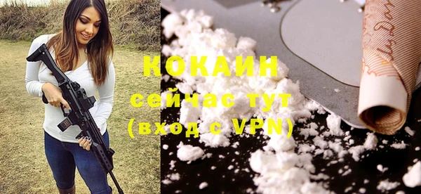 тгк Каменка