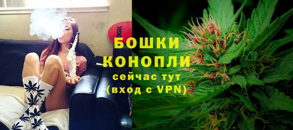 тгк Каменка