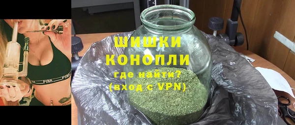 тгк Каменка
