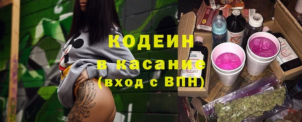 тгк Каменка