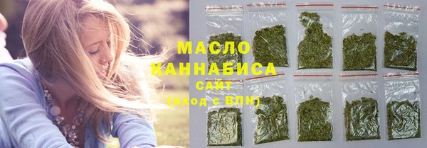 тгк Каменка