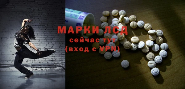 тгк Каменка