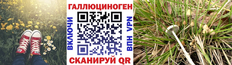 Псилоцибиновые грибы мухоморы  Купить закладки  Волоколамск 